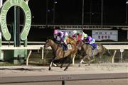 園田競馬場で行われている薄暮競馬。競走馬たちは照明に照らされながらゴール板を駆け抜けた＝兵庫県尼崎市(県競馬組合提供)
