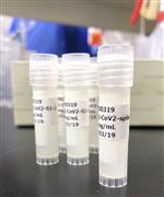 大阪大とベンチャー企業アンジェスが開発中のＤＮＡワクチン（大阪大提供）