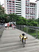 公園を巡回する犬型ロボット「スポット」（ＧｏｖＴｅｃｈ　Ｓｉｎｇａｐｏｒｅ提供・共同）