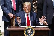 トランプ大統領（ＵＰＩ＝共同）