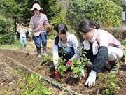 茨城県城里町で農作業に当たる地域おこし協力隊員。「地域づくり組合」制度のスタートで定住しやすくなることも期待される