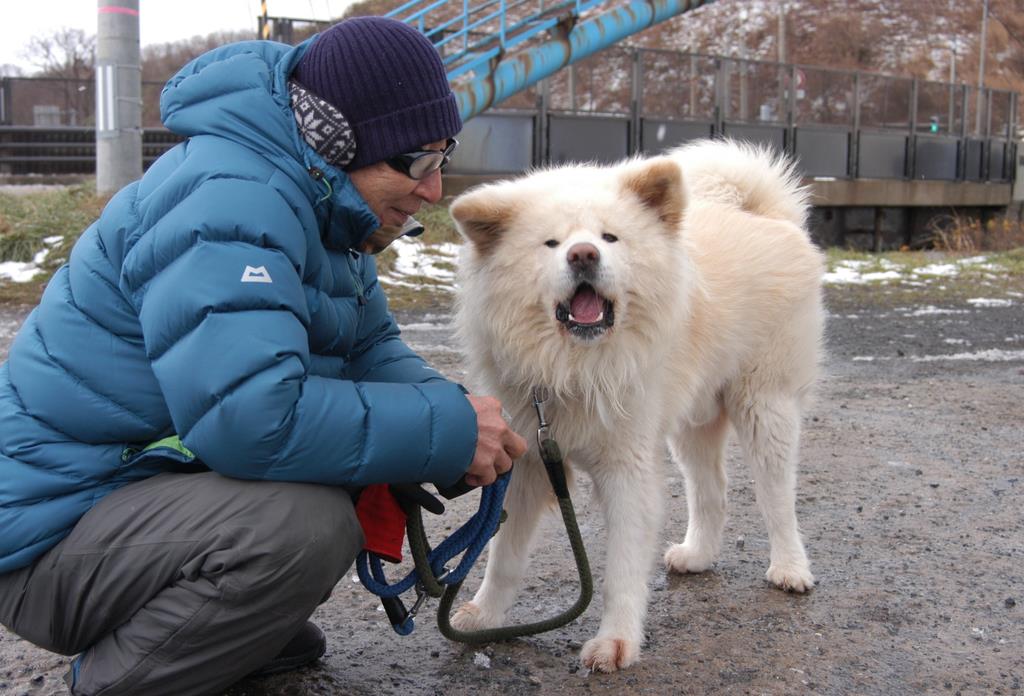 ブサカワで人気の秋田犬 わさお 死ぬ 支援団体が明らかに Sankeibiz サンケイビズ 自分を磨く経済情報サイト