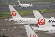 日本航空機（ＪＡＬ）＝羽田空港（納冨康撮影）