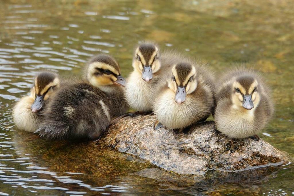 ベスト賞　「元気に育ってね」　神戸市東灘区　高橋幹夫さん　