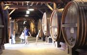 巨大な木たるが並ぶ「牛久シャトー」の旧発酵室＝茨城県牛久市