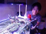 サンゴが入った水槽の横に立つイノカの高倉葉太ＣＥＯ＝東京都港区