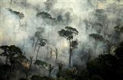 ブラジル北部アマゾン地域のポルトベリョ付近の熱帯雨林で起きた火災＝２０１９年９月（ロイター＝共同）