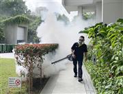 蚊などの発生を防ぐため、住宅地で殺虫剤を散布する人＝６月、シンガポール（共同）