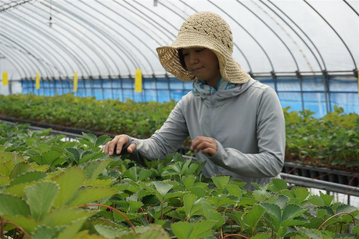 農業女子が支援組織を設立 行政や地元関係者もバックアップ 1 2ページ Sankeibiz サンケイビズ 自分を磨く経済情報サイト