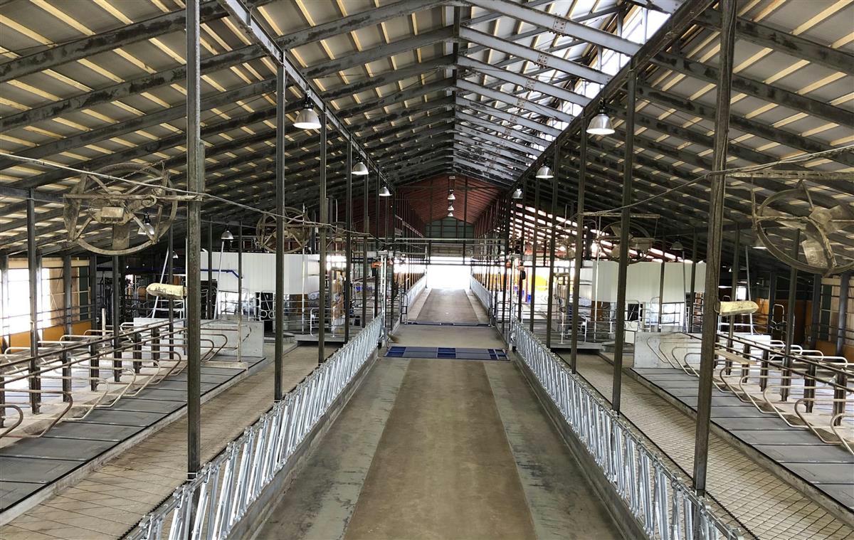 自社牧場の牛舎内=北海道中標津町(ファームノートホールディングス提供)