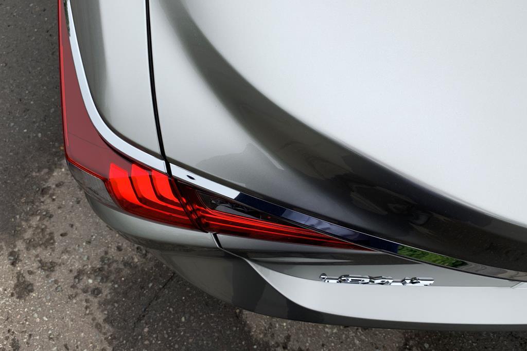 彫刻刀で削ったような見事な造形が魅力的な陰影を生む