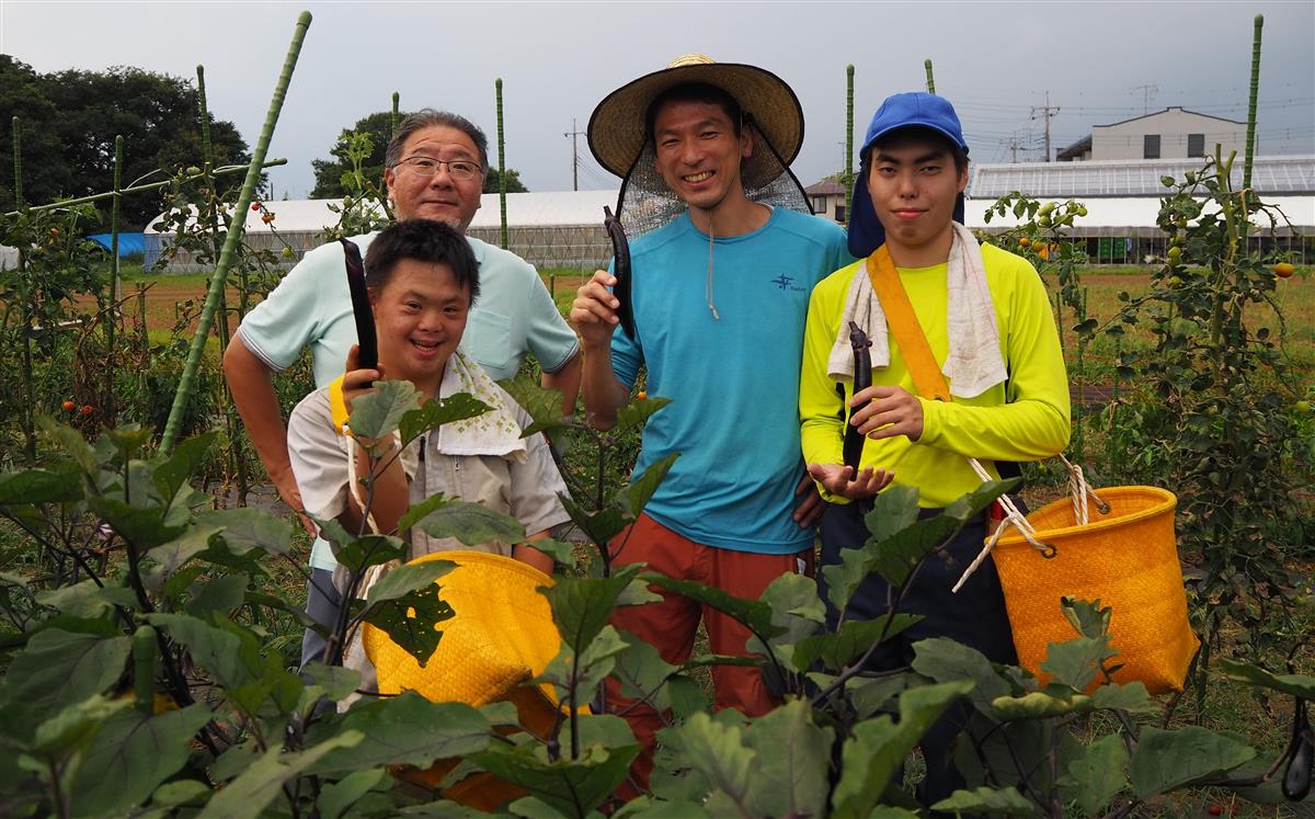「帝人ソレイユ」農場。後列左から升岡圭治さん、鈴木崇之さん、斉藤隼さん、前列が佐野嵩斗さん。後方右に胡蝶蘭ハウスが見える＝千葉県我孫子市（重松明子撮影）