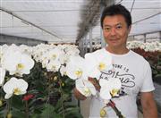 胡蝶蘭栽培による、知的障害者の自立を進める那部智史さん＝千葉県富津市（重松明子撮影）