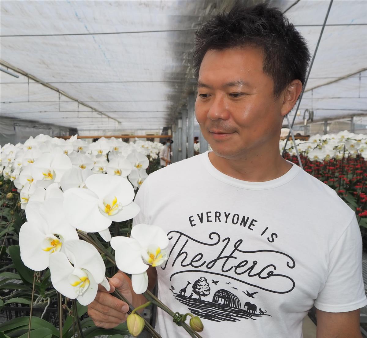 胡蝶蘭栽培による、知的障害者の自立を進める那部智史さん＝千葉県富津市（重松明子撮影）