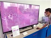 ８Ｋ技術を使い、病理診断での活用を目指すシャープのサービス。細胞を超高精細で表示することで異常を見つけやすくなる＝９月１７日、堺市堺区のシャープグリーンフロント堺