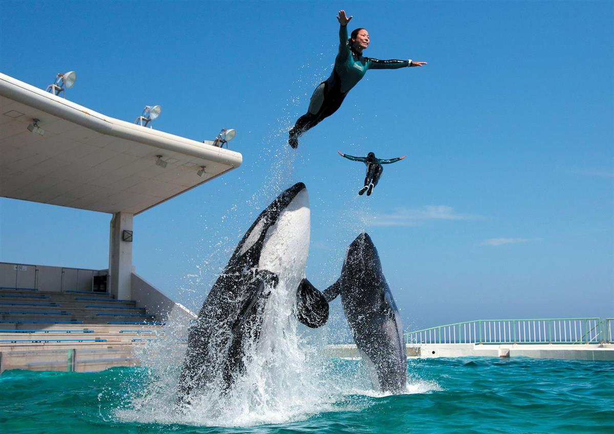 ※新型コロナウイルスの感染予防対策として、入館券の事前予約制を実施しています。