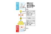 「結婚願望」アピールすれば良縁来る？