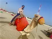 砂漠ツアーでラクダに試乗。中東ならではの貴重な体験です！　この後は車で砂漠を爆走しました（笑）提供：執筆者