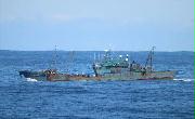 日本海沖の大和堆周辺で、違法操業する中国漁船＝９月（水産庁提供）