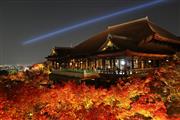 色づいたモミジと本堂がライトアップされて夜空に浮かび上がった＝１７日夜、京都市東山区の清水寺