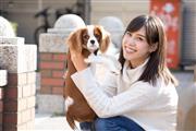 犬も家族のひとり。愛犬と過ごす時間も増えました。提供：執筆者