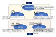 STOによって将来期待される効果（日本STO協会の資料より）
