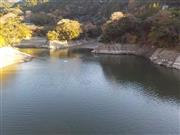 渇水で地肌が見える１２月１５日の小向ダム。この日の貯水率は３０・５％（南房総市提供）