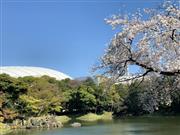国指定特別史跡・特別名勝「小石川後楽園」に隣接