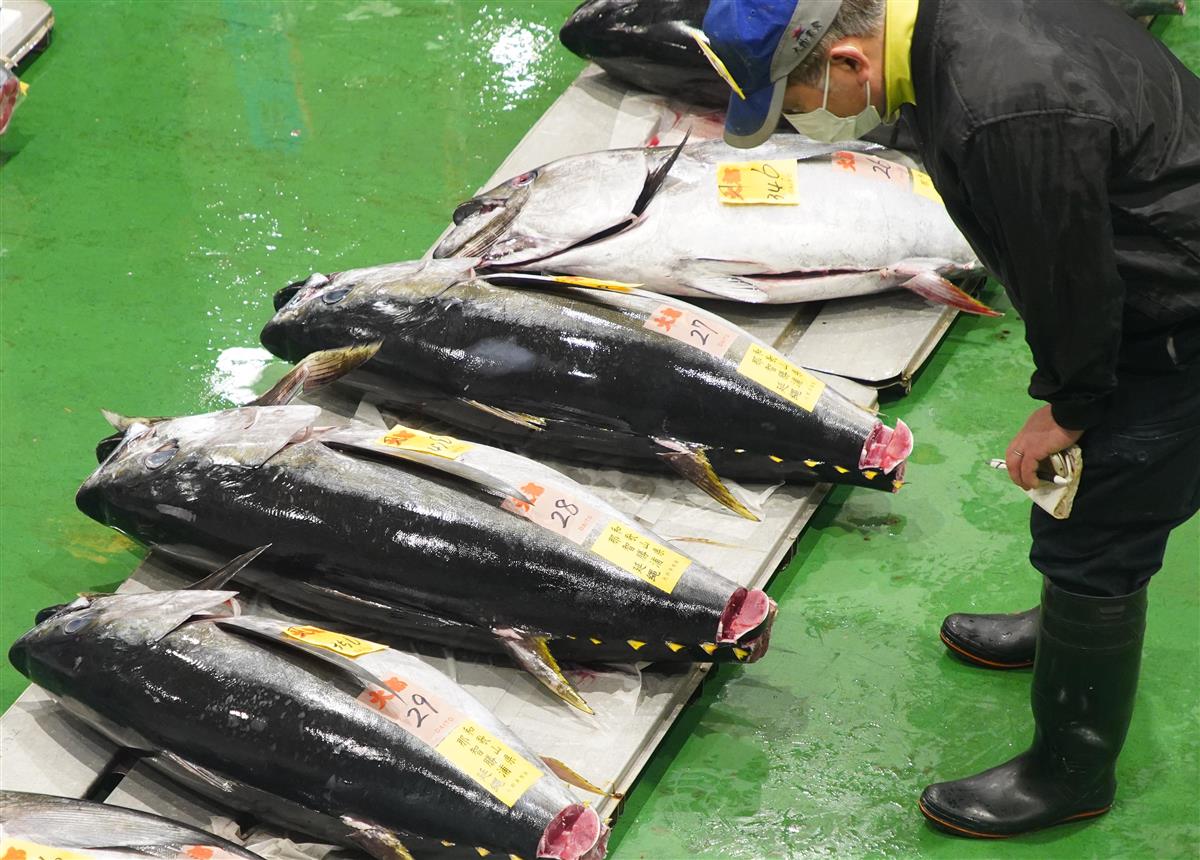 東京 豊洲で初競り 恒例の大間産マグロは84万円に Sankeibiz サンケイビズ 自分を磨く経済情報サイト