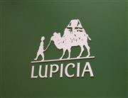 エキゾチシズムを感じさせるロゴマーク