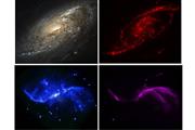 各宇宙望遠鏡によるM106銀河の撮像画像。左上／ハッブルの可視光線、右上／スピッツァーの赤外線、左下／チャンドラのX線、右下／地上にある超大型電波望遠鏡「カール・ジャンスキー」によるラジオ波のイメージング画像（X線：NASA/CXC/Caltech/P.Ogle et al、可視光：NASA/STScI、赤外線：NASA/JPL-Caltech、ラジオ波：NSF/NRAO/VLA）