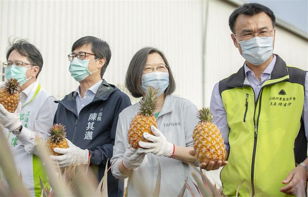 台湾パイナップル 日本への輸出に期待 中国の禁輸受け Sankeibiz サンケイビズ 自分を磨く経済情報サイト