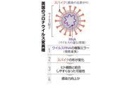 英国のコロナウイルス変異種