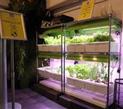 店内は環境について学べる工夫もされている＝東京都豊島区（松井英幸撮影）