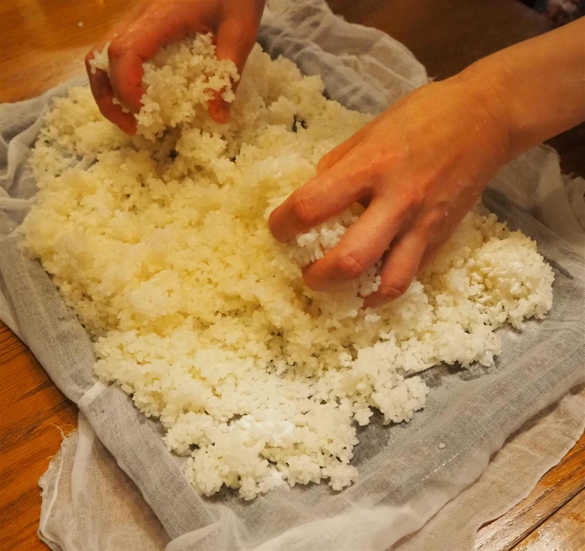 家庭での麹づくりは、蒸した米に種麹をまく「種切り」から始まる（重松明子撮影）