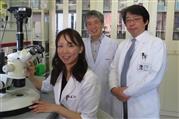 新薬開発に取り組む久留米大医学部の（右から）野村政壽教授、森山芳則客員教授、蓮澤奈央助教