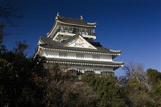 織田信長は政策通だったのか、その手腕を再確認する