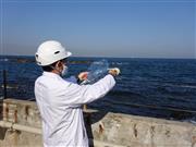 異臭の原因調査のために空気を採取する神奈川県環境科学センターの研究員＝令和２年１１月、同県内の海岸（同センター提供）