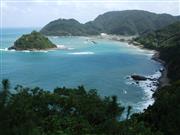 奄美群島の主要な島である奄美大島。大部分が森で囲まれ、豊かな自然を誇る