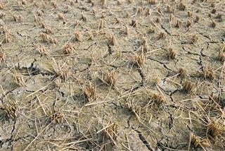 鎌倉幕府の無策が露呈した寛喜の大飢饉への対応