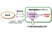 東京理科大学の研究