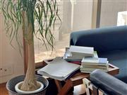 コロナ禍で若者の読書量も増えているといいます（画像はイメージです/筆者撮影）