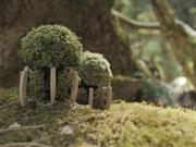 パナソニックが開発した湿度や光をセンサーで感知して移動するロボット「ＵＭＯＺ（ウモズ）」（同社提供）