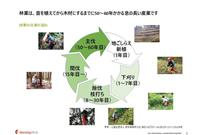 林業の仕事の流れ