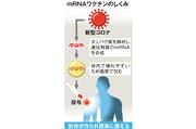 ｍRNAワクチンのしくみ