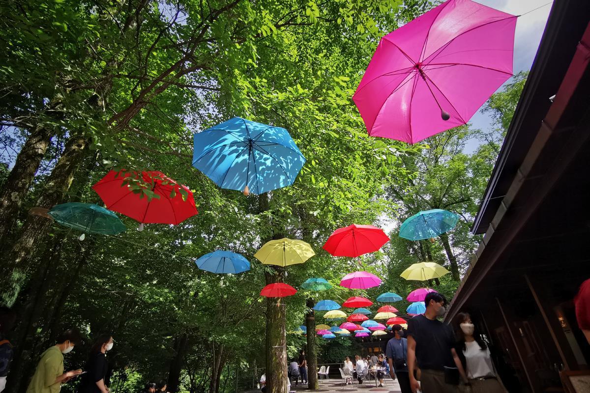 カラフルなパラソルに彩られたレストランやカフェが集まる「ハルニレテラス」。スタッフの佐藤さんによると、最近はこのエリアでもパソコンを開いている人の姿が増えたそう（SankeiBiz編集部）
