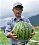 大玉で８～１０キロの重さになるという比良すいかを持つ伊藤久司さん＝大津市