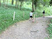 木々に囲まれたトレッキング／ハイキングコースは適度な風もあり気持ちいい（筆者撮影）