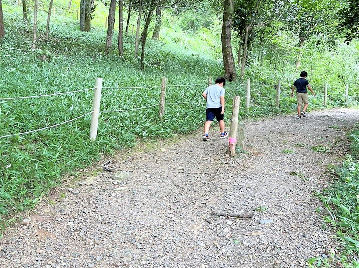 木々に囲まれたトレッキング／ハイキングコースは適度な風もあり気持ちいい（筆者撮影）