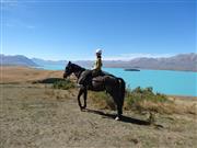 一人旅で訪れたニュージーランドにて。提供：執筆者